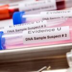 How Long Does it Take to Do a DNA Test?